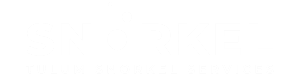 Tulum Snorkel Services